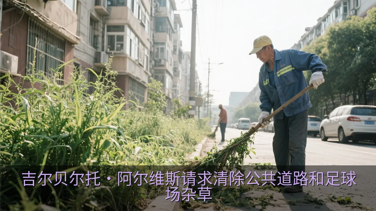吉尔贝尔托·阿尔维斯请求清除公共道路和足球场杂草