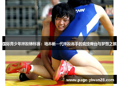 国际青少年摔跤锦标赛：培养新一代摔跤高手的竞技舞台与梦想之旅