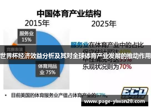 世界杯经济效益分析及其对全球体育产业发展的推动作用