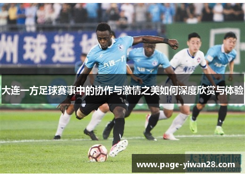 大连一方足球赛事中的协作与激情之美如何深度欣赏与体验