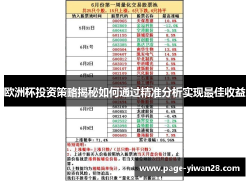欧洲杯投资策略揭秘如何通过精准分析实现最佳收益
