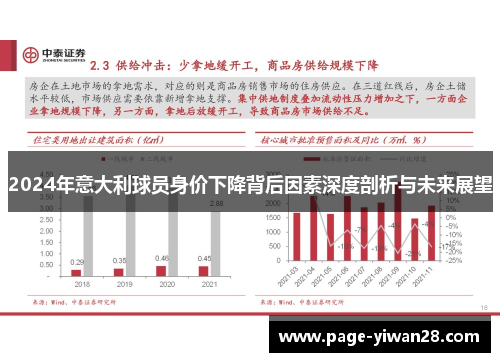 2024年意大利球员身价下降背后因素深度剖析与未来展望