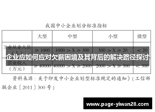 企业应如何应对欠薪困境及其背后的解决路径探讨