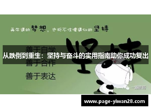 从跌倒到重生：坚持与奋斗的实用指南助你成功复出