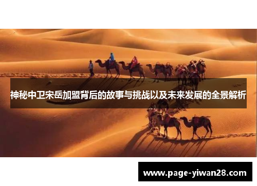 神秘中卫宋岳加盟背后的故事与挑战以及未来发展的全景解析