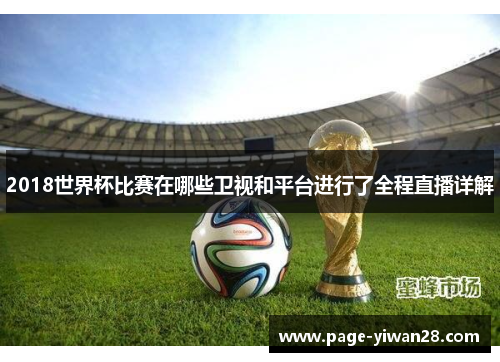 2018世界杯比赛在哪些卫视和平台进行了全程直播详解